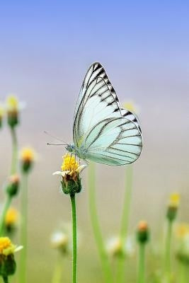 White Butterfly: There Are Over 20,000 Species of Butterflies in the World. by Journals, Planners and