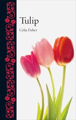 Tulip by Fisher, Celia