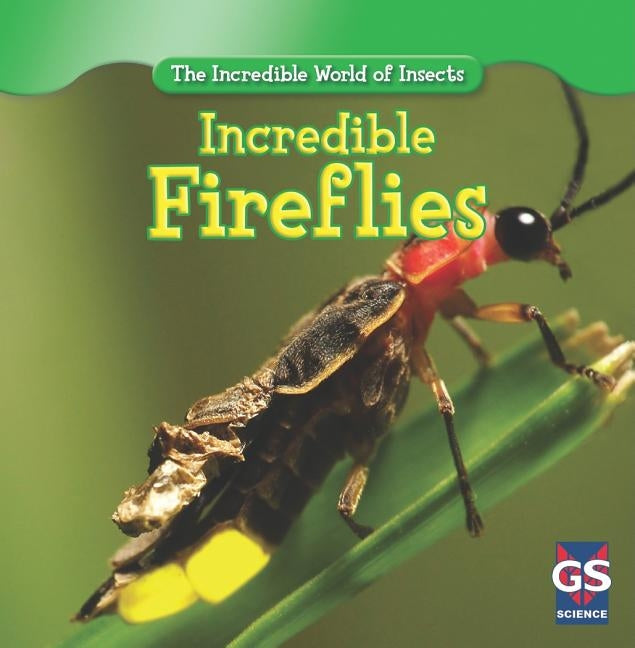 Incredible Fireflies by Ashley, Susan