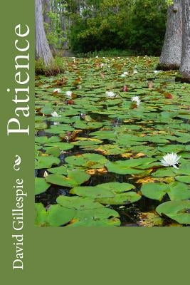 Patience by Gillespie, David M.