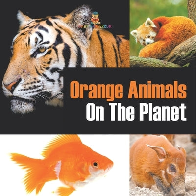Orange Animals On The Planet by Baby Professor