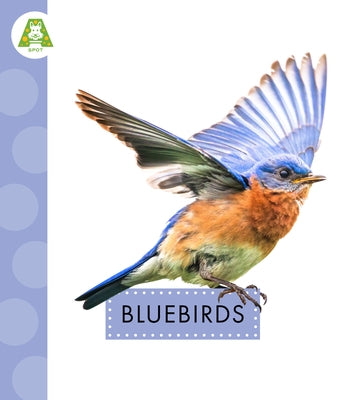 Bluebirds by Suen, Anastasia