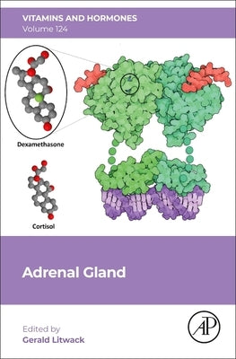 Adrenal Gland: Volume 124 by Litwack, Gerald