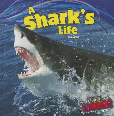 A Shark's Life by Antill, Sara