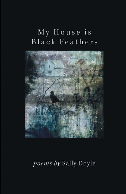 My House is Black Feathers by Doyle, Sally