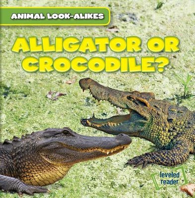 Alligator or Crocodile? by Ryndak, Rob