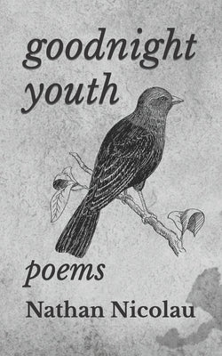 Goodnight Youth by Nicolau, Nathan