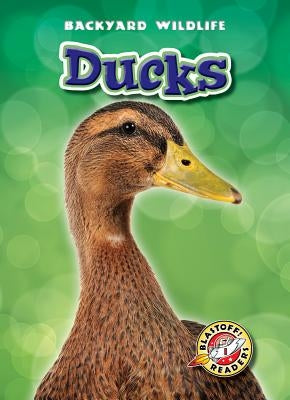 Ducks by Zobel, Derek