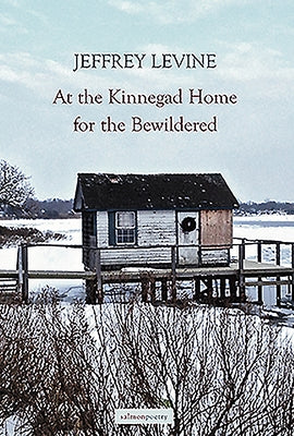 At the Kinnegad Home for the Bewildered by Levine, Jeffrey