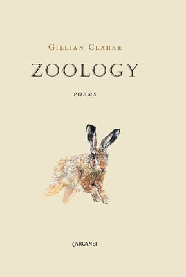 Zoology by Clarke, Gillian