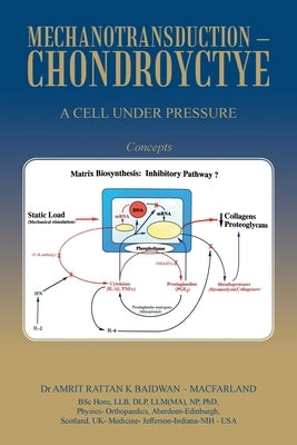 Mechanotransduction - Chondroyctye: A Cell Under Pressure by Baidwan -. Macfarland, Amrit Rattan K.