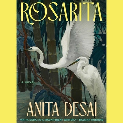 Rosarita by Desai, Anita