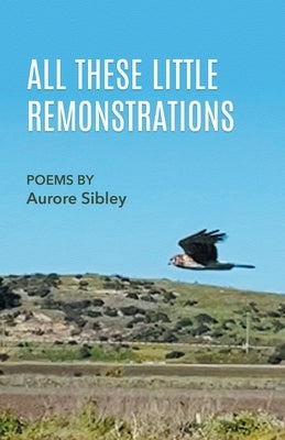 All These Little Remonstrations by Sibley, Aurore