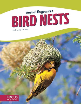 Bird Nests by Tornio, Stacy