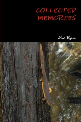 Collected Memories by Bejines, Luis