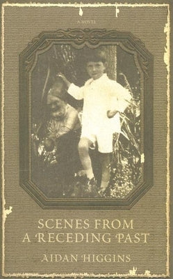 Scenes from a Receding Past by Higgins, Aidan