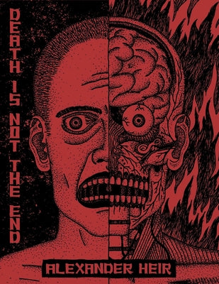 Death Is Not the End: The Work of Alexander Heir by Heir, Alexander
