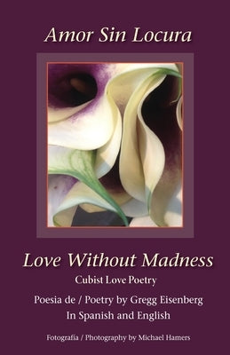 Amor Sin Locura Love Without Madness by Eisenberg, Gregg