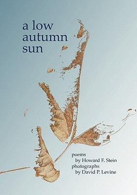 A Low Autumn Sun by Stein, Howard