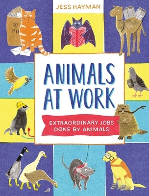 Animals at Work by Hayman, Jess