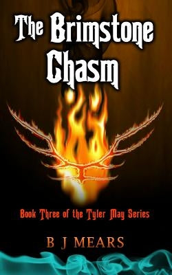 The Brimstone Chasm: Book Three of the Tyler May series by Field, Edward