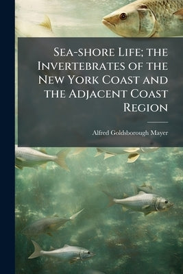 Sea-shore Life; the Invertebrates of the New York Coast and the Adjacent Coast Region by Mayer, Alfred Goldsborough