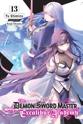 The Demon Sword Master of Excalibur Academy, Vol. 13 (Light Novel) by Shimizu, Yu