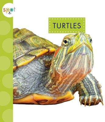 Turtles by Schuh, Mari C.