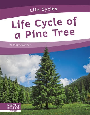 Life Cycle of a Pine Tree by Gaertner, Meg