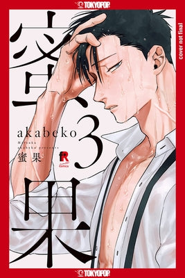 Mitsuka, Volume 3 by Akabeko