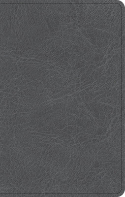 NASB Personal Size Bible, Charcoal Leathertouch by Holman Bible Publishers