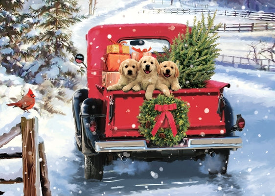 Bringing Home the Tree Deluxe Boxed Holiday Cards by Peter Pauper Press Inc