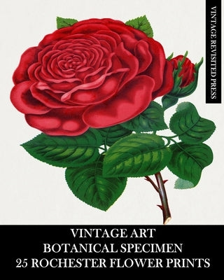 Vintage Art: Botanical Specimen: 25 Rochester Flower Prints: Floriculture Ephemera for Framing, Decor and Reference by Press, Vintage Revisited