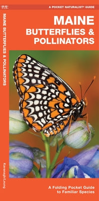 Maine Butterflies & Pollinators: A Folding Pocket Guide to Familiar Species by Kavanagh, James