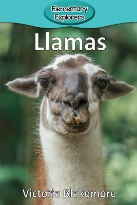Llamas by Blakemore, Victoria