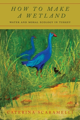 How to Make a Wetland: Water and Moral Ecology in Turkey by Scaramelli, Caterina