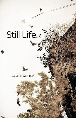 Still Life by Vitterito, Jos A., II