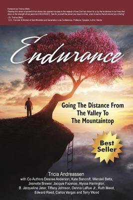 Endurance: Going The Distance From The Valley To The Mountaintop by Andreassen, Tricia