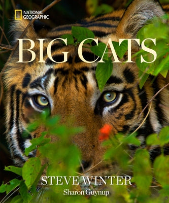 Big Cats by Winter, Steve