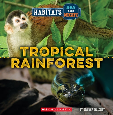 Tropical Rainforest (Wild World: Habitats Day and Night) by Maloney, Brenna