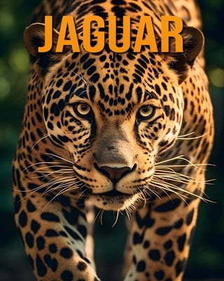 Jaguar: The Essential Guide to This Amazing Animal with Amazing Photos by Vane, Isla
