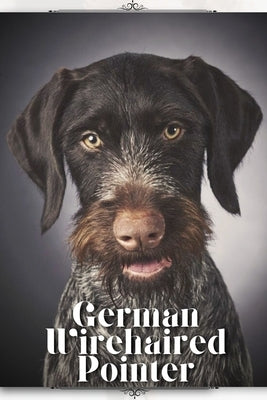 German Wirehaired Pointer: Dog breed overview and guide by Pustova, Nina