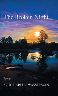 The Broken Night by Wasserman, Bruce Arlen