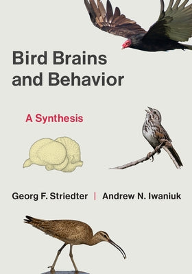 Bird Brains and Behavior: A Synthesis by Striedter, Georg F.