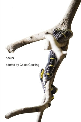 Hector by Cocking, Chloe