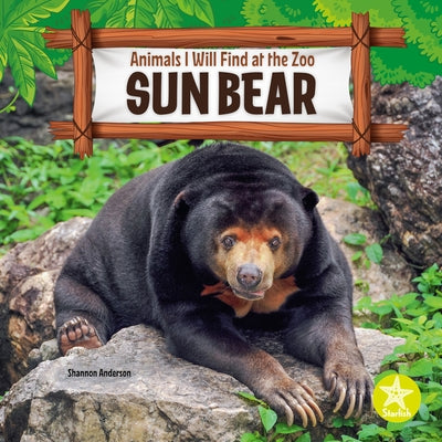 Sun Bear by Anderson, Shannon
