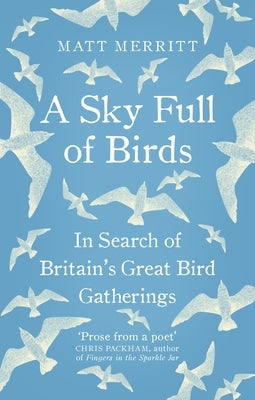 A Sky Full of Birds by Merritt, Matt