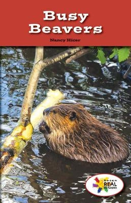 Busy Beavers by Hicer, Nancy