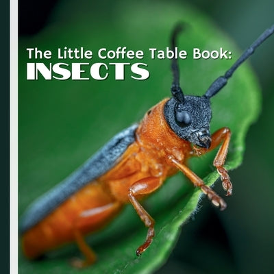 The Little Coffee Table Book: Insects: From the graceful flight of butterflies to the industriousness of ants, you'll discover the essential roles ins by Design, Mehco
