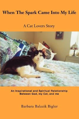 When The Spark Came Into My Life by Bigler, Barbara Balazik